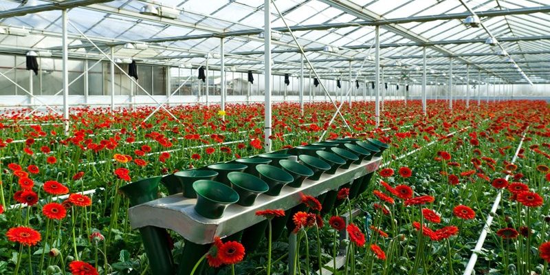 Verkoop ondernemingsvermogen na stilleggen activiteiten