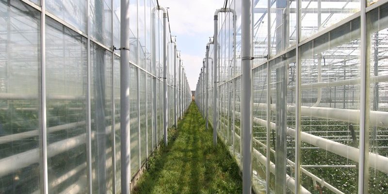 Termijn aanvraag OVK verlengd