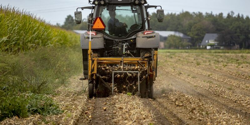 Pacht vereist persoonlijk gebruik door pachter