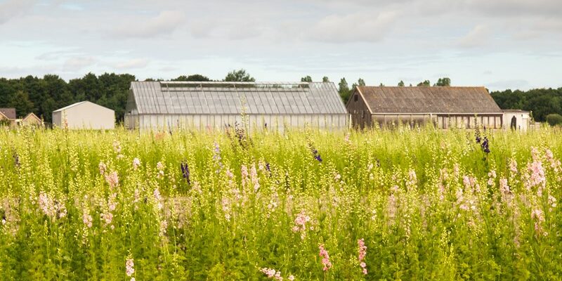 Bestemmingswijziging levert belastbare winst op